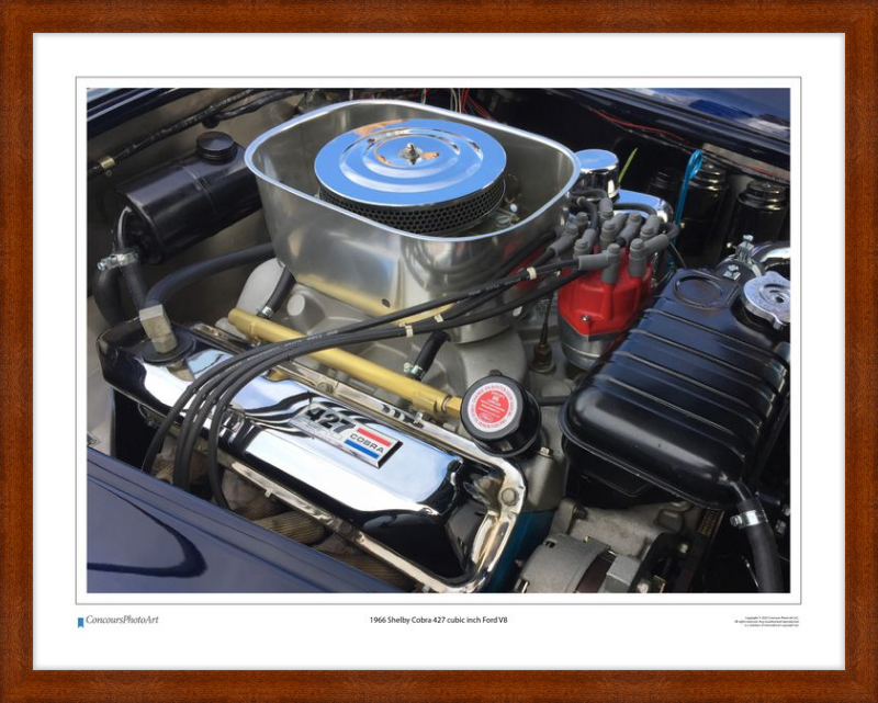 1966 Shelby Cobra 427 cubic inch Ford V8 / CPA711A / Color Image