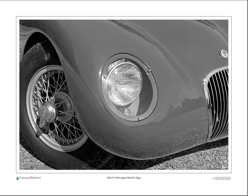 1953 Jaguar XK120 C-Type / CPA115B2 / Black and White