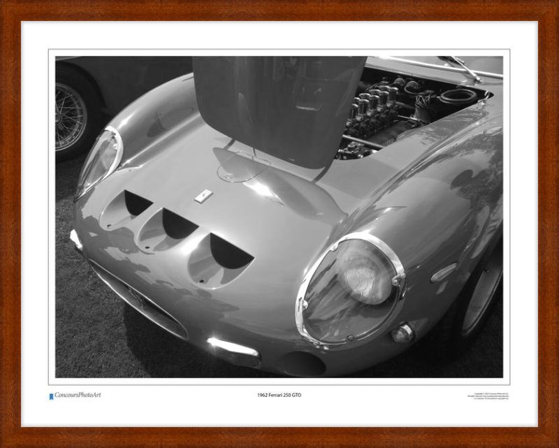 1962 Ferrari 250 GTO / CPA202B / Black and White