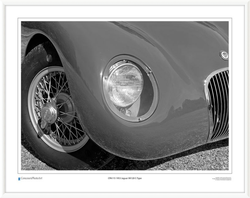 1953 Jaguar XK120 C-Type / CPA115B2 / Black and White