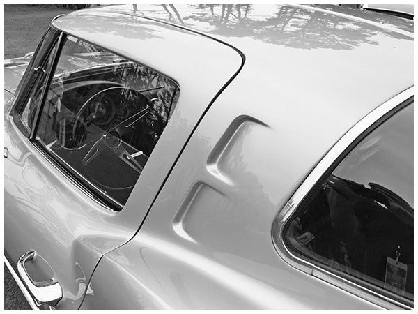 300B Series / B&W Prints