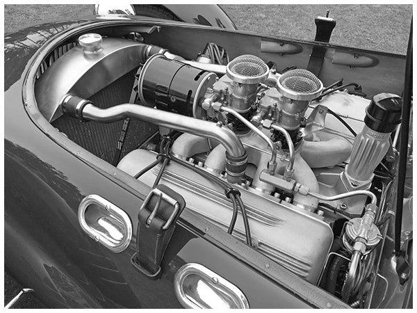 700B Series / B&W Prints