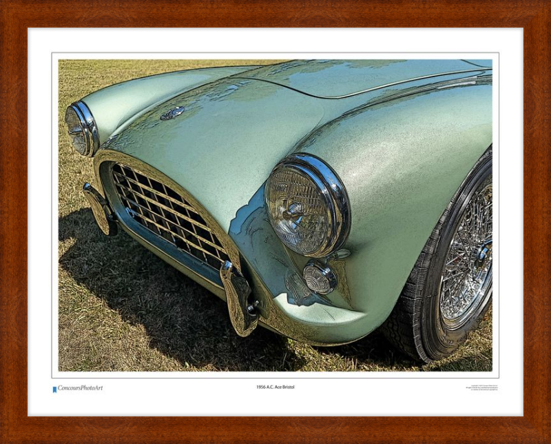 1956 A.C. Ace Bristol / CPA118C / Stylized Print