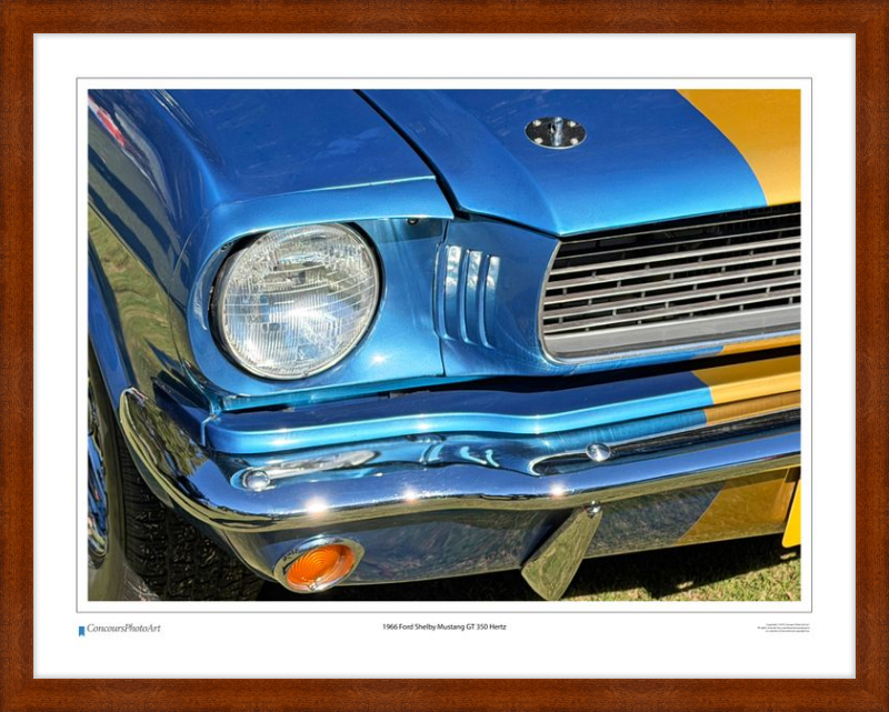 1966 Ford Shelby Mustang GT 350 Hertz / CPA319A / Color Print