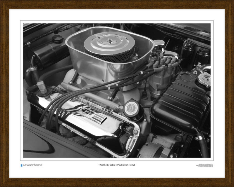 1966 Shelby Cobra 427 cubic inch Ford V8 / CPA711B / Black and White