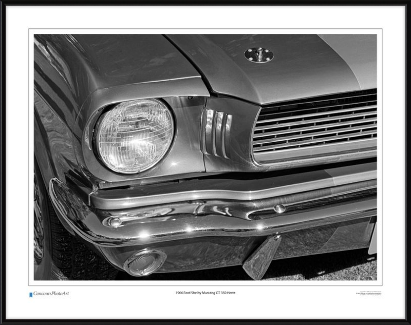 1966 Ford Shelby Mustang GT 350 Hertz / CPA319B / B&W Print