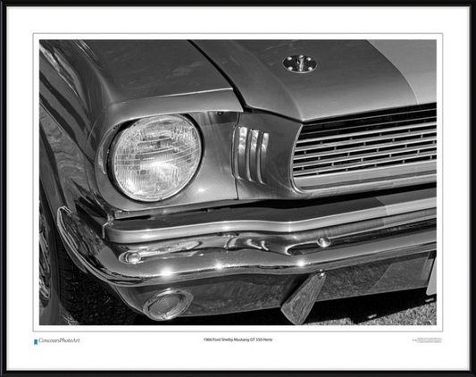 1966 Ford Shelby Mustang GT 350 Hertz / CPA319B / B&W Print