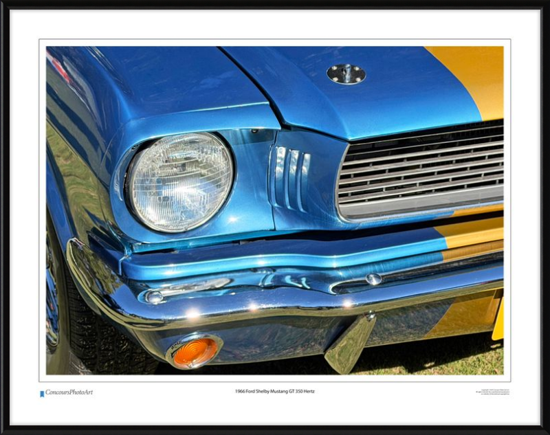 1966 Ford Shelby Mustang GT 350 Hertz / CPA319A / Color Print