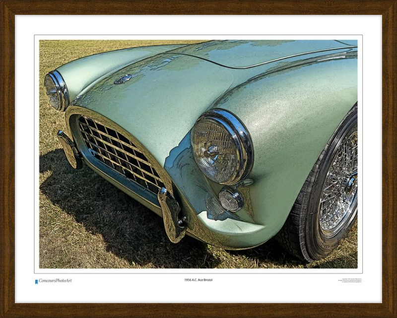 1956 A.C. Ace Bristol / CPA118C / Stylized Print