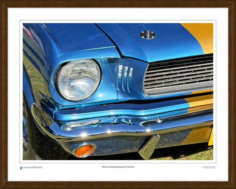 1966 Ford Shelby Mustang GT 350 Hertz / CPA319A / Color Print
