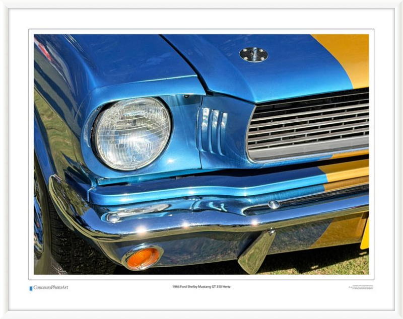 1966 Ford Shelby Mustang GT 350 Hertz / CPA319A / Color Print