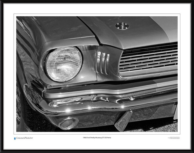 1966 Ford Shelby Mustang GT 350 Hertz / CPA319B / B&W Print