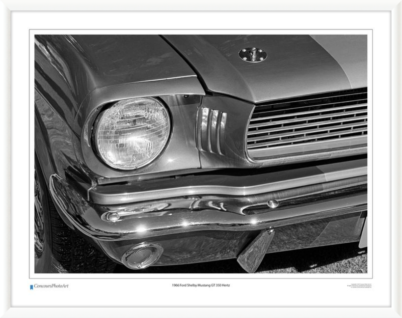 1966 Ford Shelby Mustang GT 350 Hertz / CPA319B / B&W Print