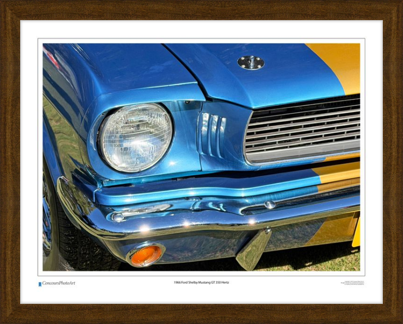 1966 Ford Shelby Mustang GT 350 Hertz / CPA319A / Color Print