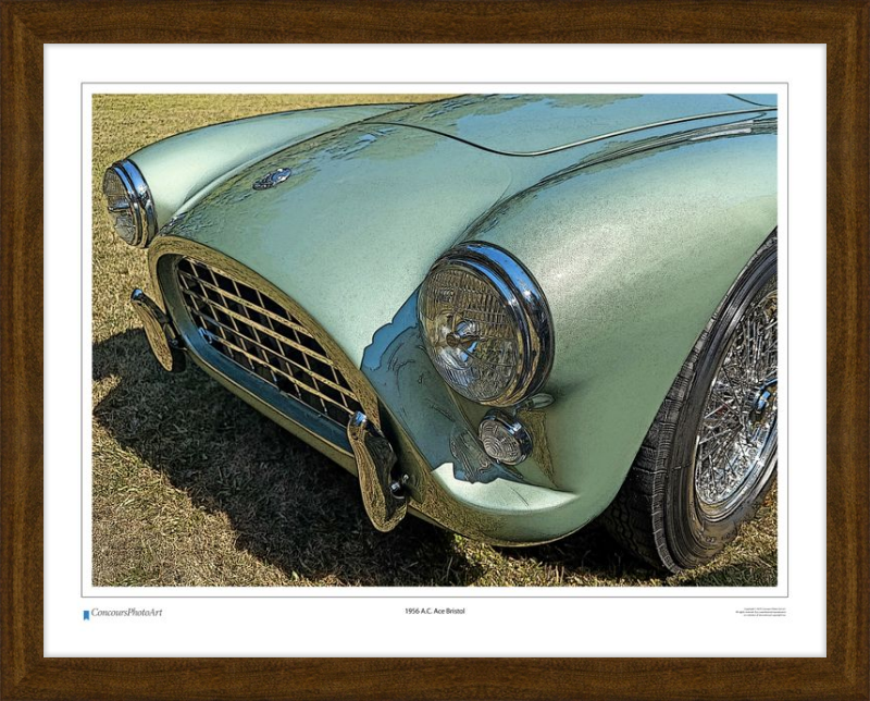 1956 A.C. Ace Bristol / CPA118C / Stylized Print
