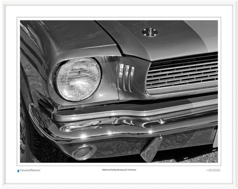 1966 Ford Shelby Mustang GT 350 Hertz / CPA319B / B&W Print