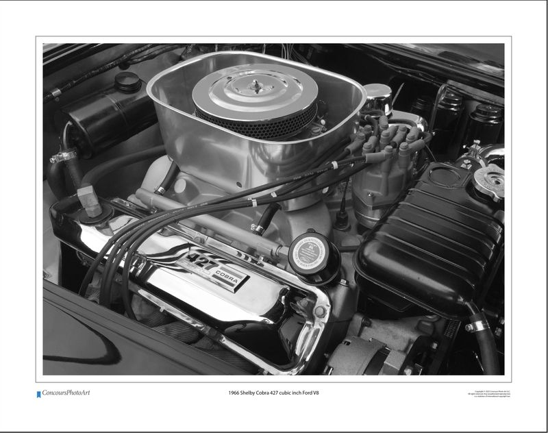 1966 Shelby Cobra 427 cubic inch Ford V8 / CPA711B / Black and White