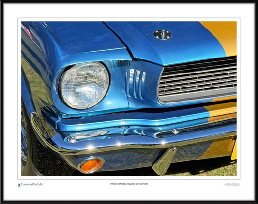1966 Ford Shelby Mustang GT 350 Hertz / CPA319A / Color Print