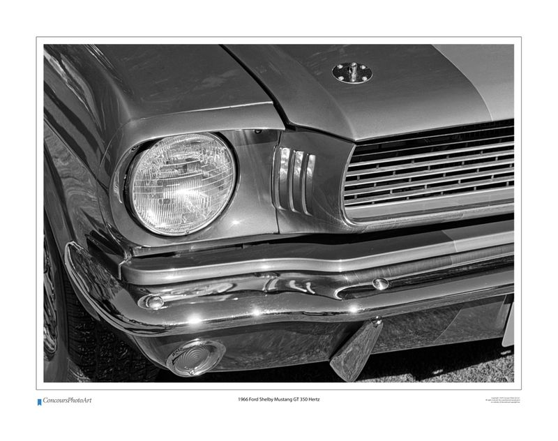 1966 Ford Shelby Mustang GT 350 Hertz / CPA319B / B&W Print