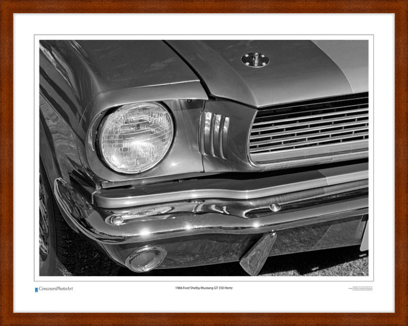 1966 Ford Shelby Mustang GT 350 Hertz / CPA319B / B&W Print