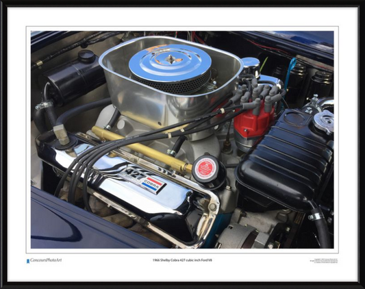 1966 Shelby Cobra 427 cubic inch Ford V8 / CPA711A / Color Image
