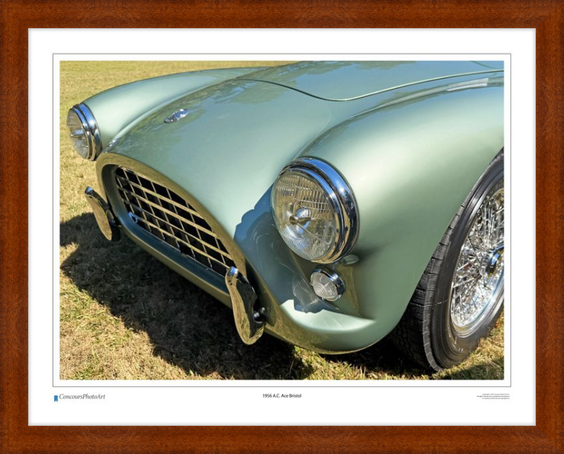 1956 A.C. Ace Bristol / CPA118A / Color Print