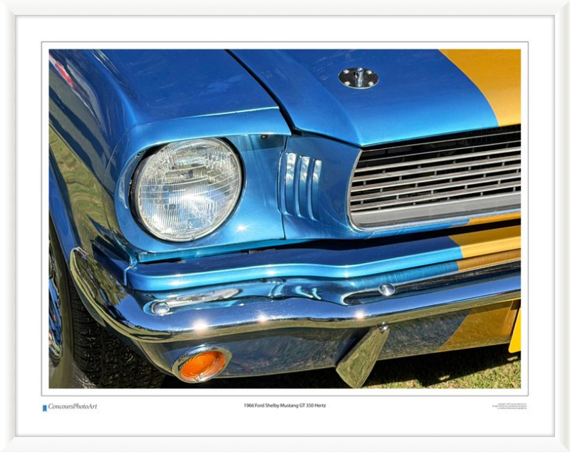 1966 Ford Shelby Mustang GT 350 Hertz / CPA319A / Color Print