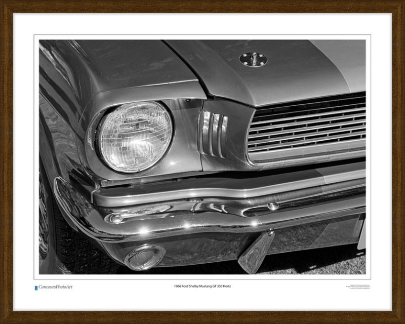 1966 Ford Shelby Mustang GT 350 Hertz / CPA319B / B&W Print