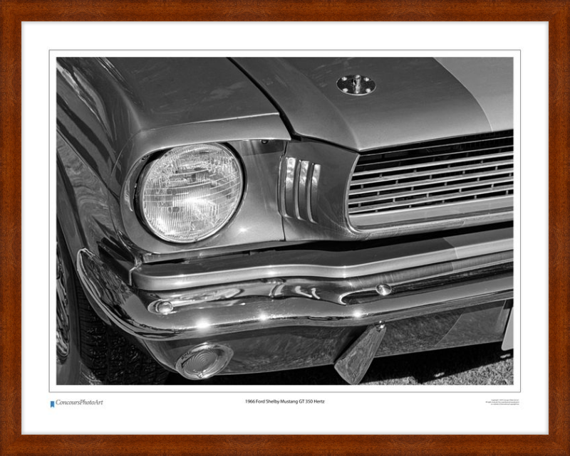 1966 Ford Shelby Mustang GT 350 Hertz / CPA319B / B&W Print