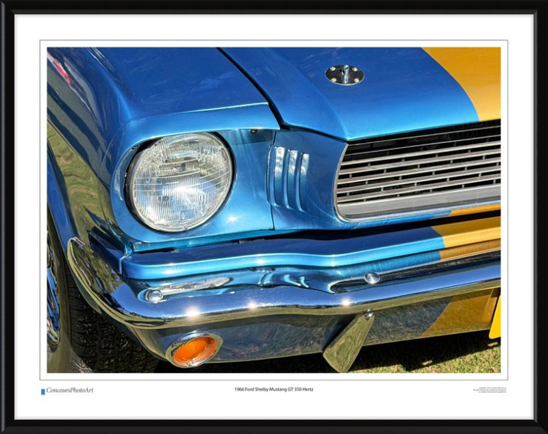 1966 Ford Shelby Mustang GT 350 Hertz / CPA319A / Color Print