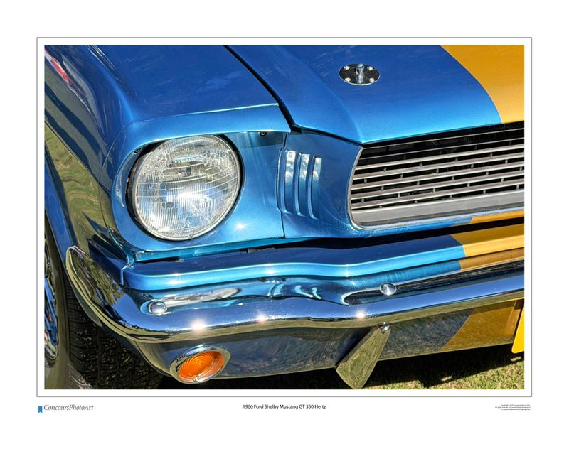 1966 Ford Shelby Mustang GT 350 Hertz / CPA319A / Color Print
