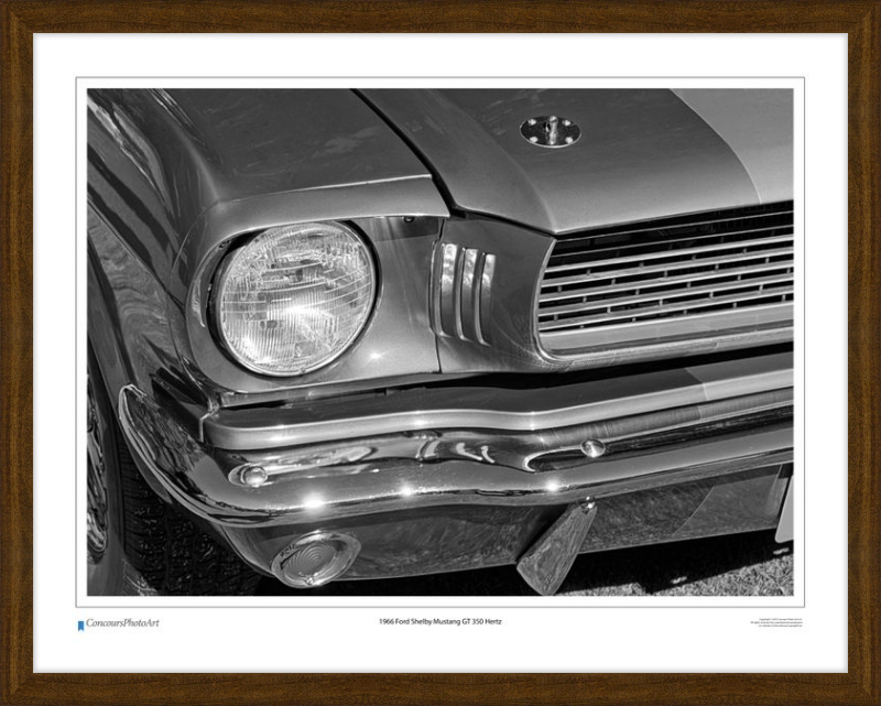 1966 Ford Shelby Mustang GT 350 Hertz / CPA319B / B&W Print