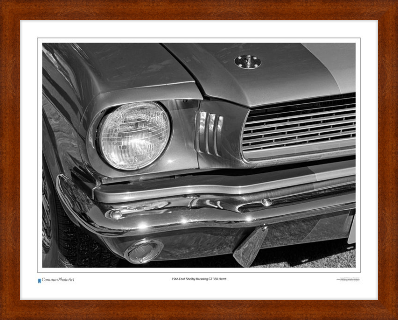 1966 Ford Shelby Mustang GT 350 Hertz / CPA319B / B&W Print