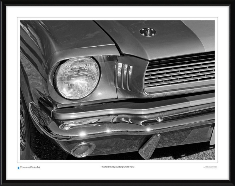 1966 Ford Shelby Mustang GT 350 Hertz / CPA319B / B&W Print
