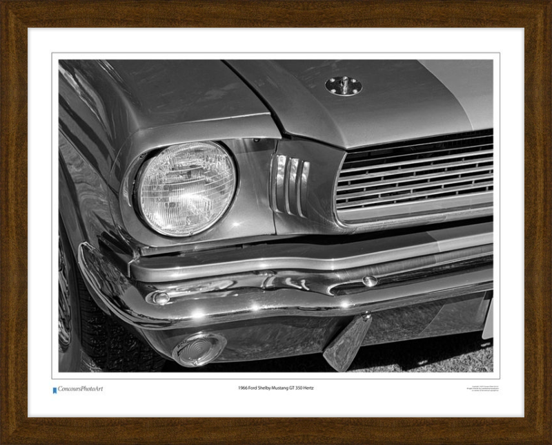 1966 Ford Shelby Mustang GT 350 Hertz / CPA319B / B&W Print
