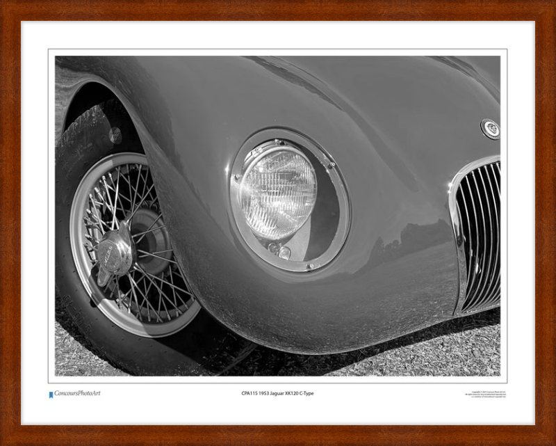 1953 Jaguar XK120 C-Type / CPA115B2 / Black and White